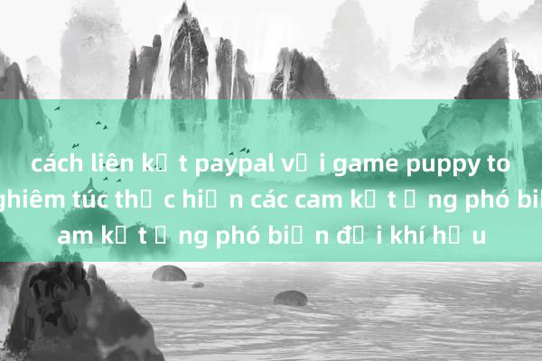 cách liên kết paypal với game puppy town Việt Nam nghiêm túc thực hiện các cam kết ứng phó biến đổi khí hậu